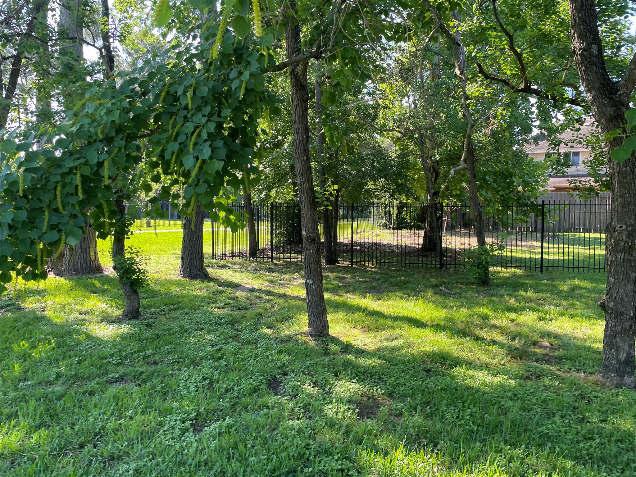 4315 Sanctuary Halls Spring, TX 77388 - Photo 36 of 50 a view of a park with a tree