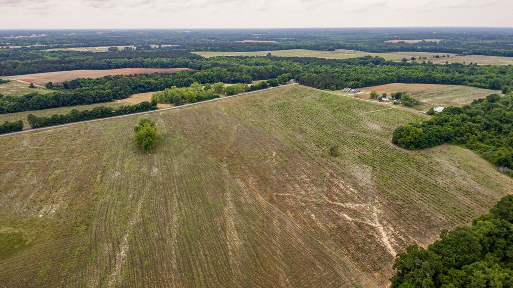 3000 Omussee Road Dothan, AL 36303 - Photo 8 of 15