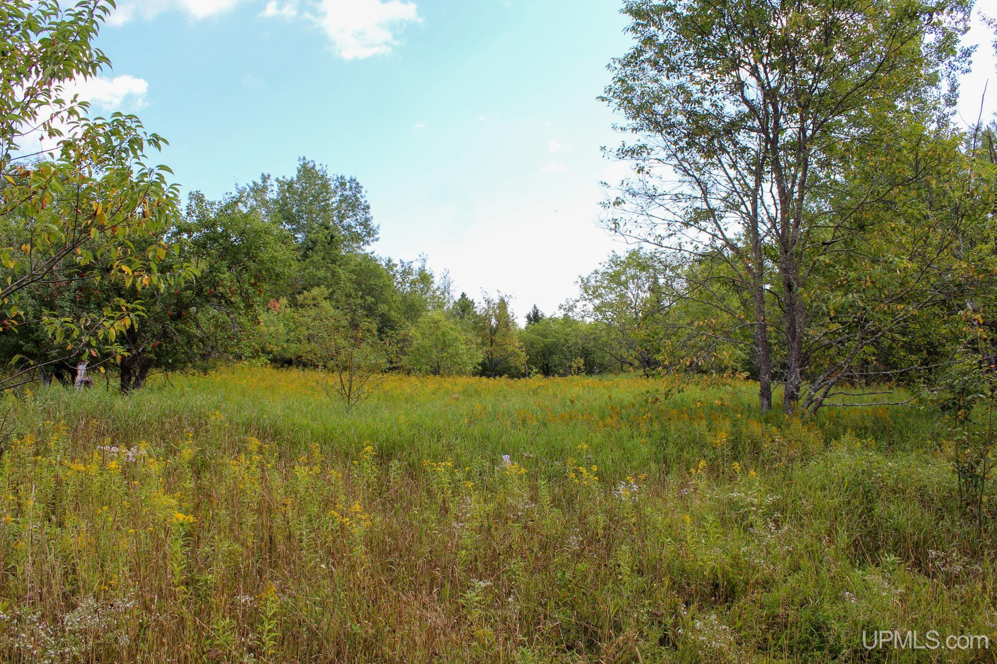 Tbd Michaelson Road Pelkie, MI 49958 - Photo 12 of 73 Gallery Image 12