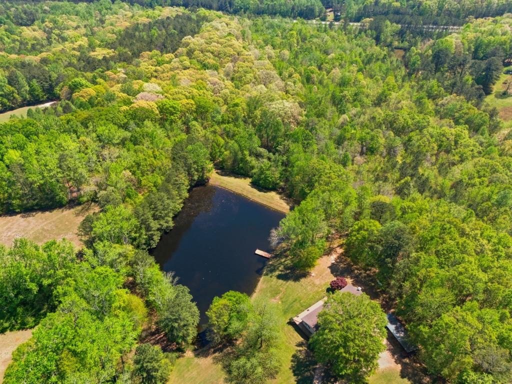224 Old Franklin Street Roopville, GA 30170 - Photo 42 of 60