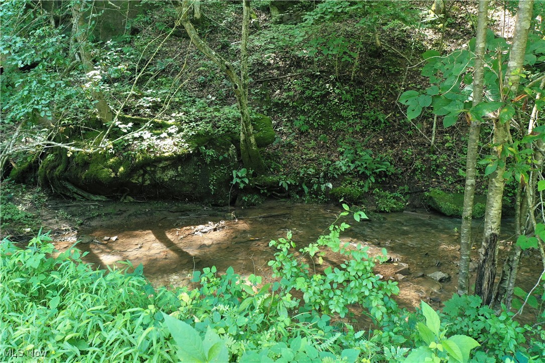 2 Big Root Road Grantsville, WV 26147 - Photo 11 of 18 Gallery Image 11