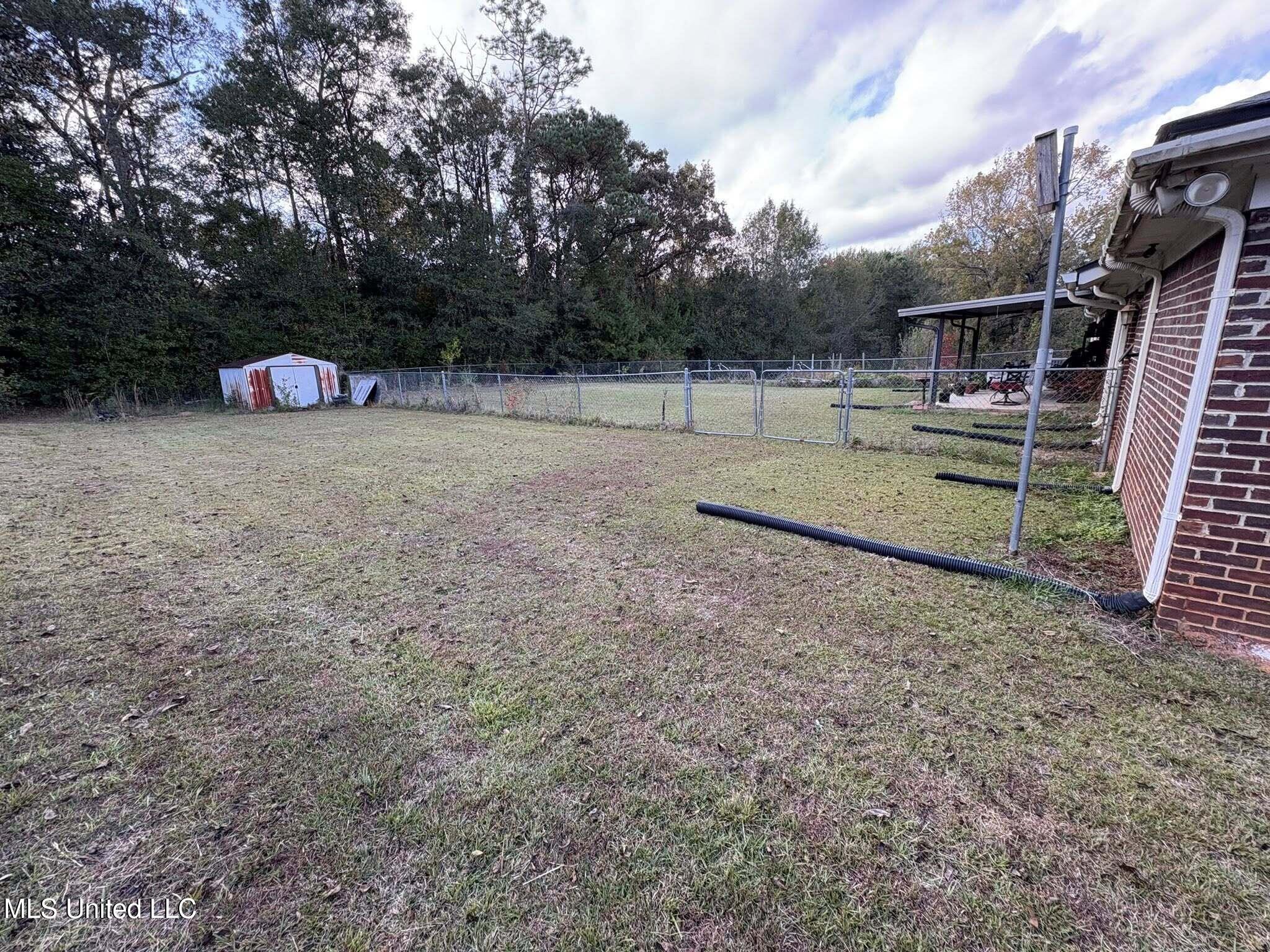 501 Pratt Road Wiggins, MS 39577 - Photo 9 of 24 backyard1