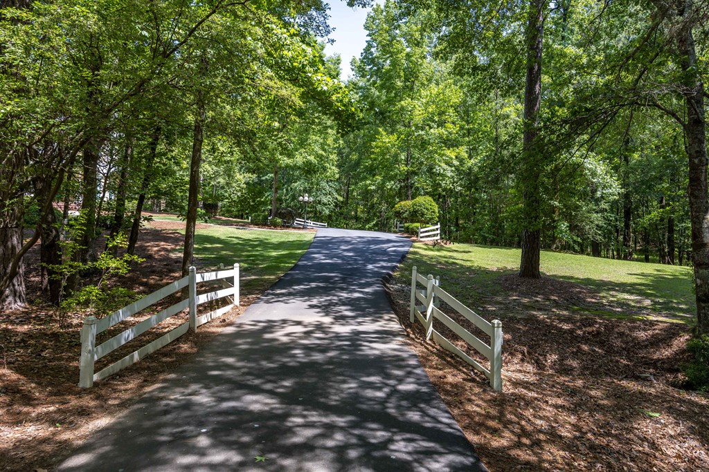 12225 County Line Road Midland, GA 31820 - Photo 8 of 66
