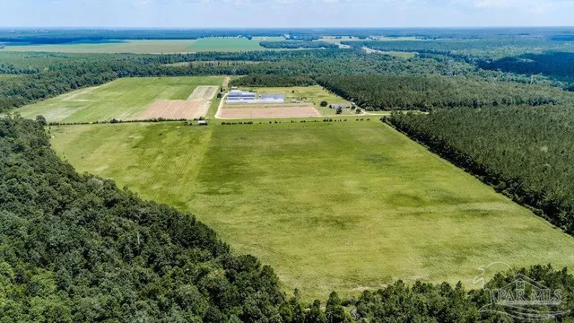 a view of a swimming pool with a yard