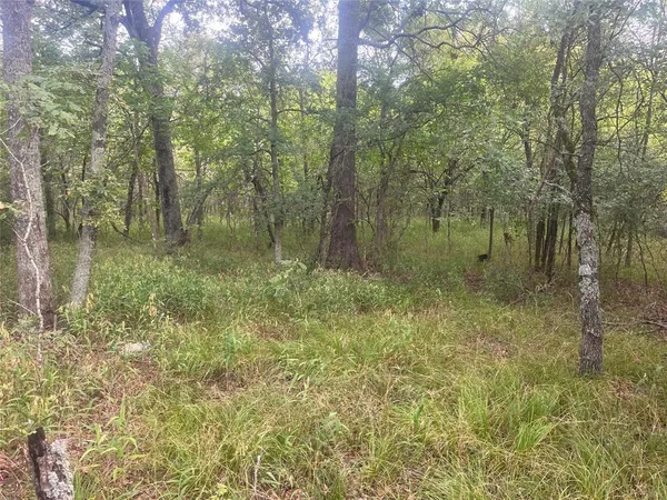 a view of a lake with a forest