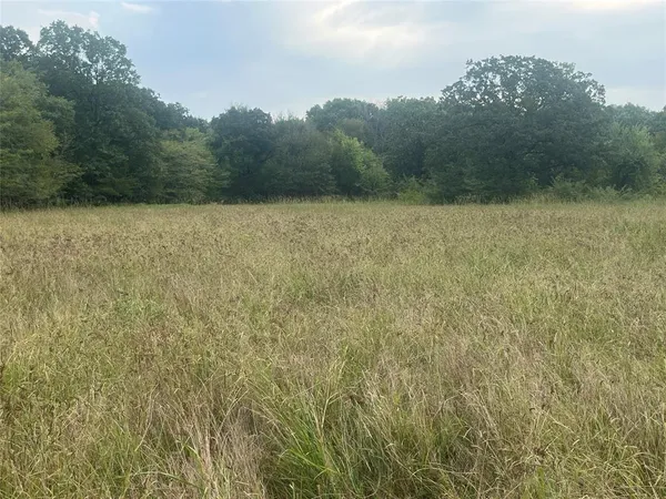 a view of a field with trees in the background