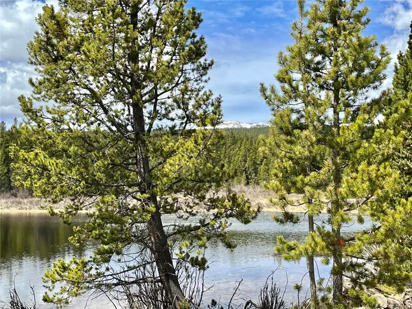 a view of a lake with a tree