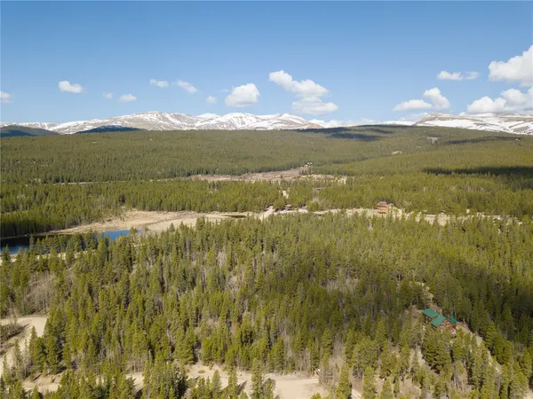 a street view with large tree