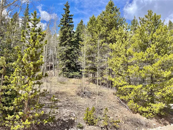 a picture of trees