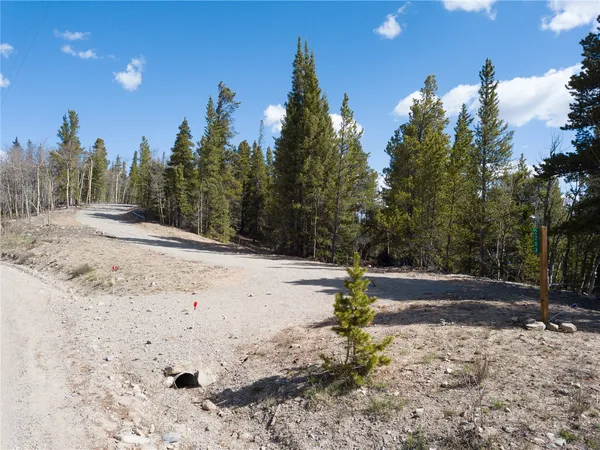 a view of a yard with plants and trees
