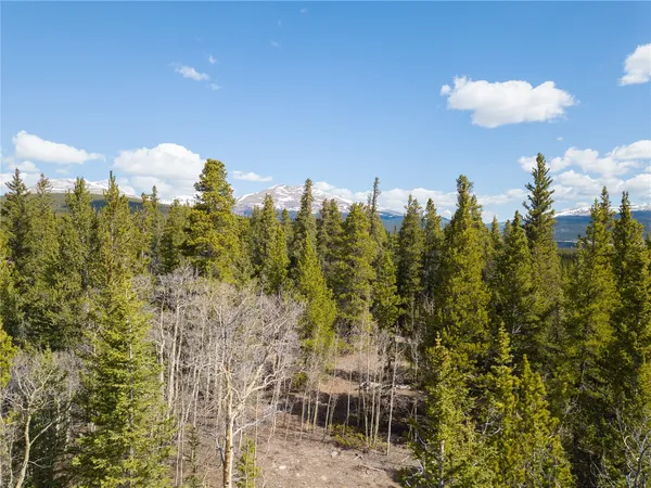 $275,000 | 2203 Lakeside Drive, Fairplay, CO 80440