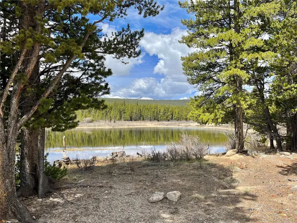 a view of a lake with a large tree