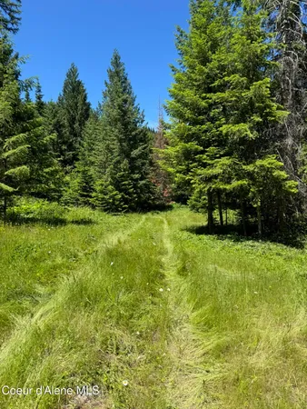 $289,900 | 7362 South Dick's Creek Road, Kendrick, ID 83537