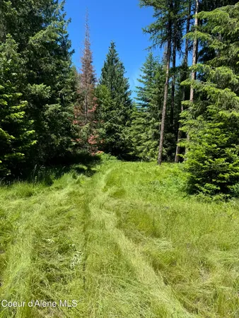 $289,900 | 7362 South Dick's Creek Road, Kendrick, ID 83537