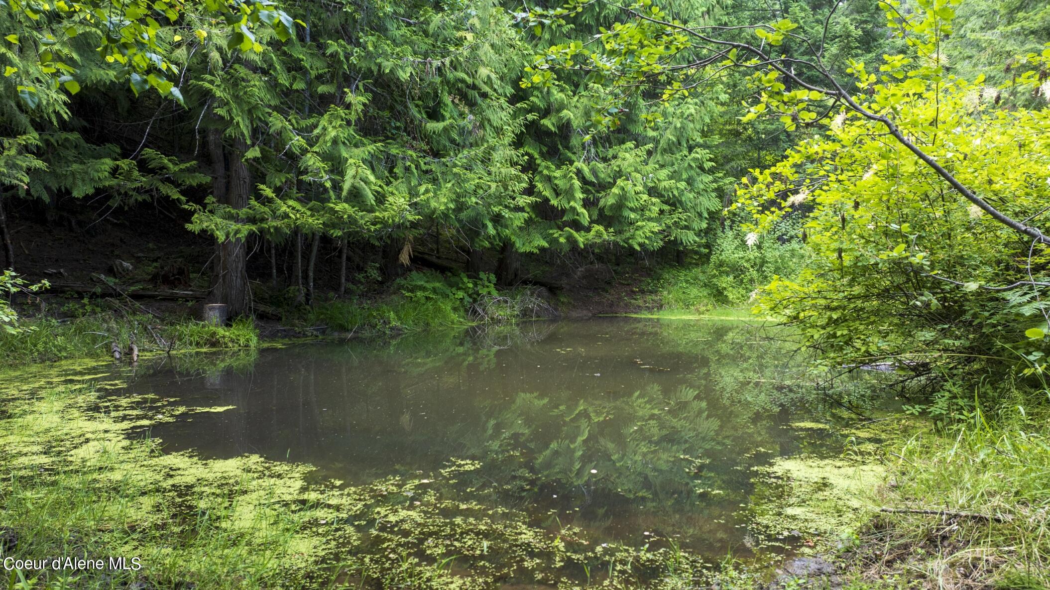 7362 South Dick's Creek Road Kendrick, ID 83537 - Photo 17 of 51 Spring