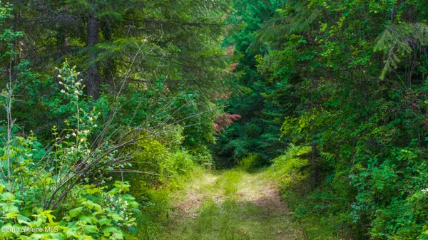 $289,900 | 7362 South Dick's Creek Road, Kendrick, ID 83537