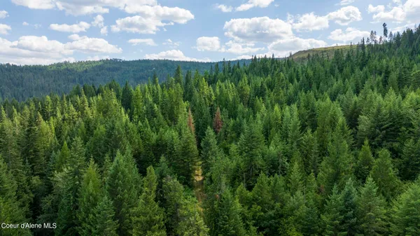 $289,900 | 7362 South Dick's Creek Road, Kendrick, ID 83537