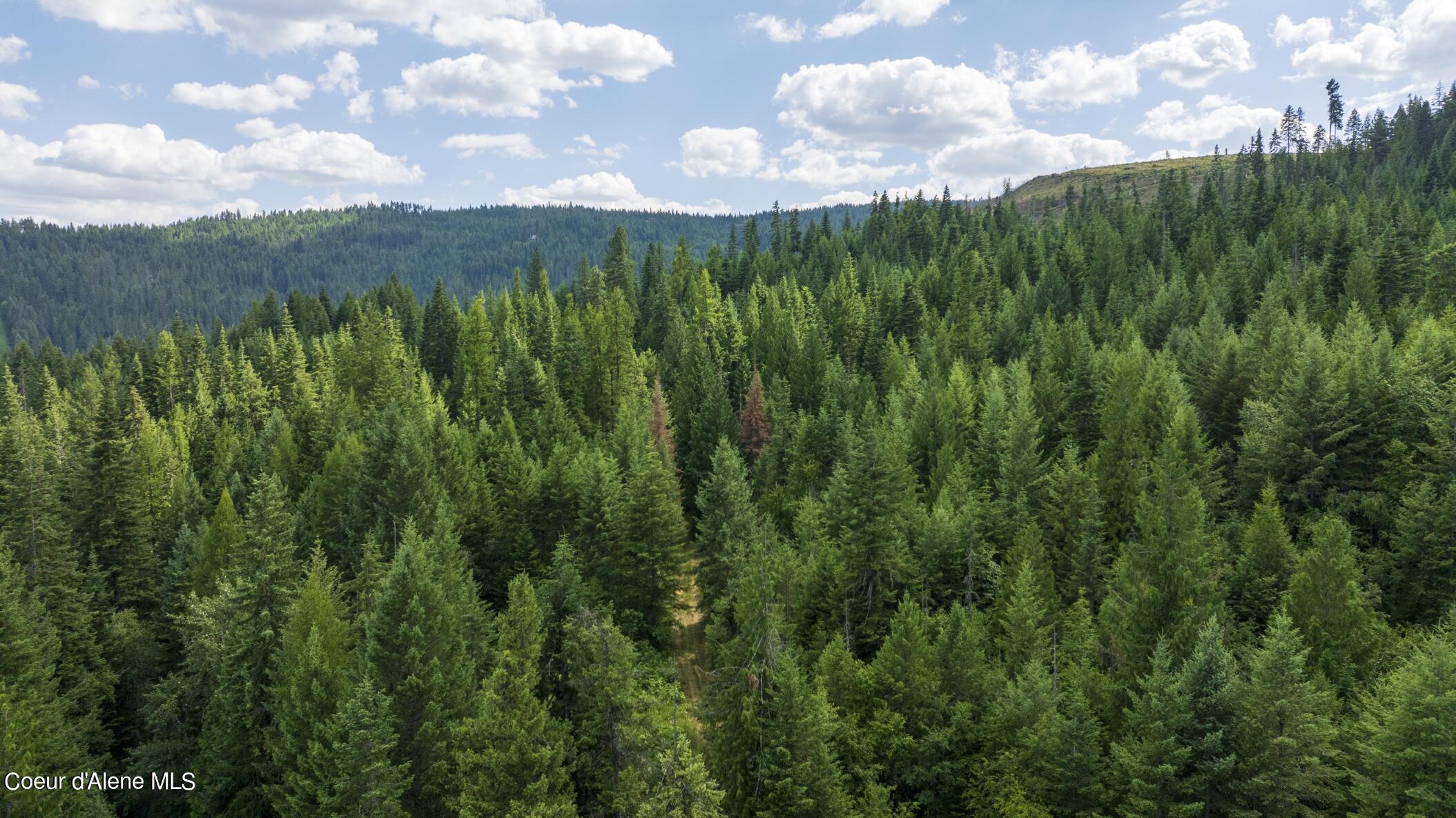 7362 South Dick's Creek Road Kendrick, ID 83537 - Photo 19 of 51 19