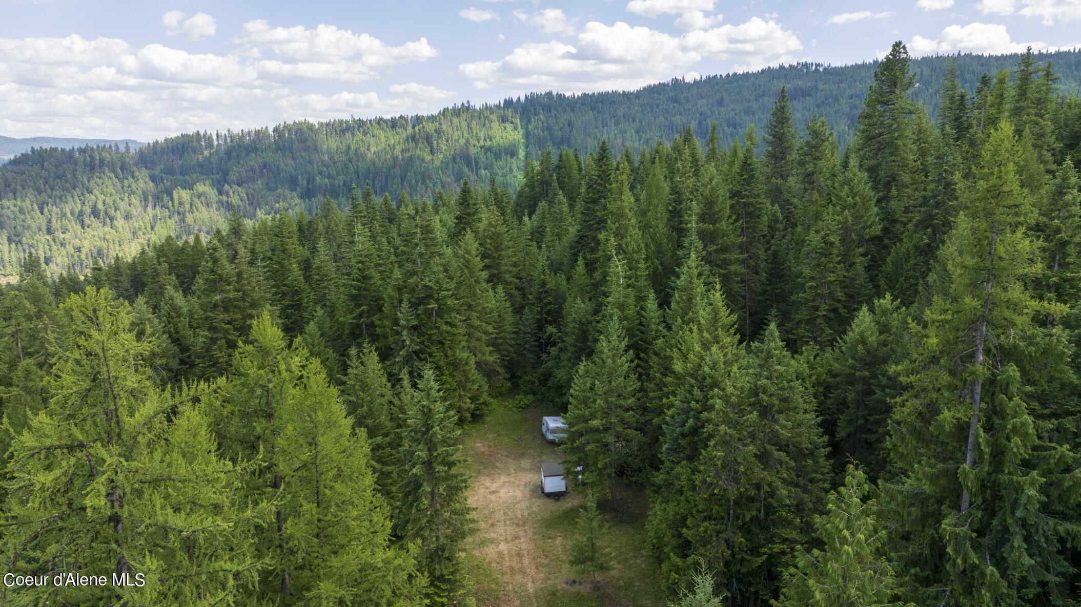 7362 South Dick's Creek Road Kendrick, ID 83537 - Photo 20 of 51 Great build site