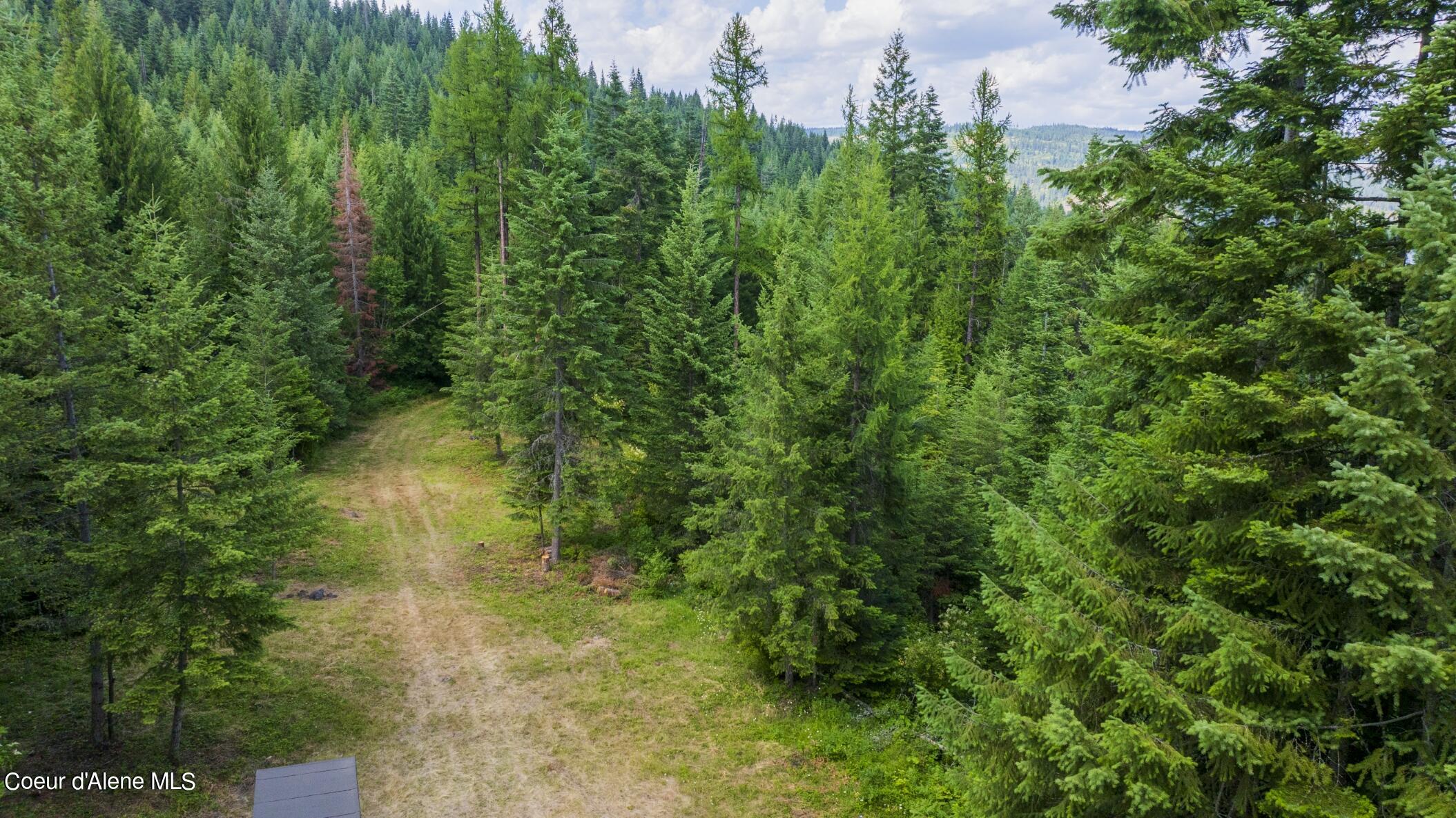 7362 South Dick's Creek Road Kendrick, ID 83537 - Photo 22 of 51 22