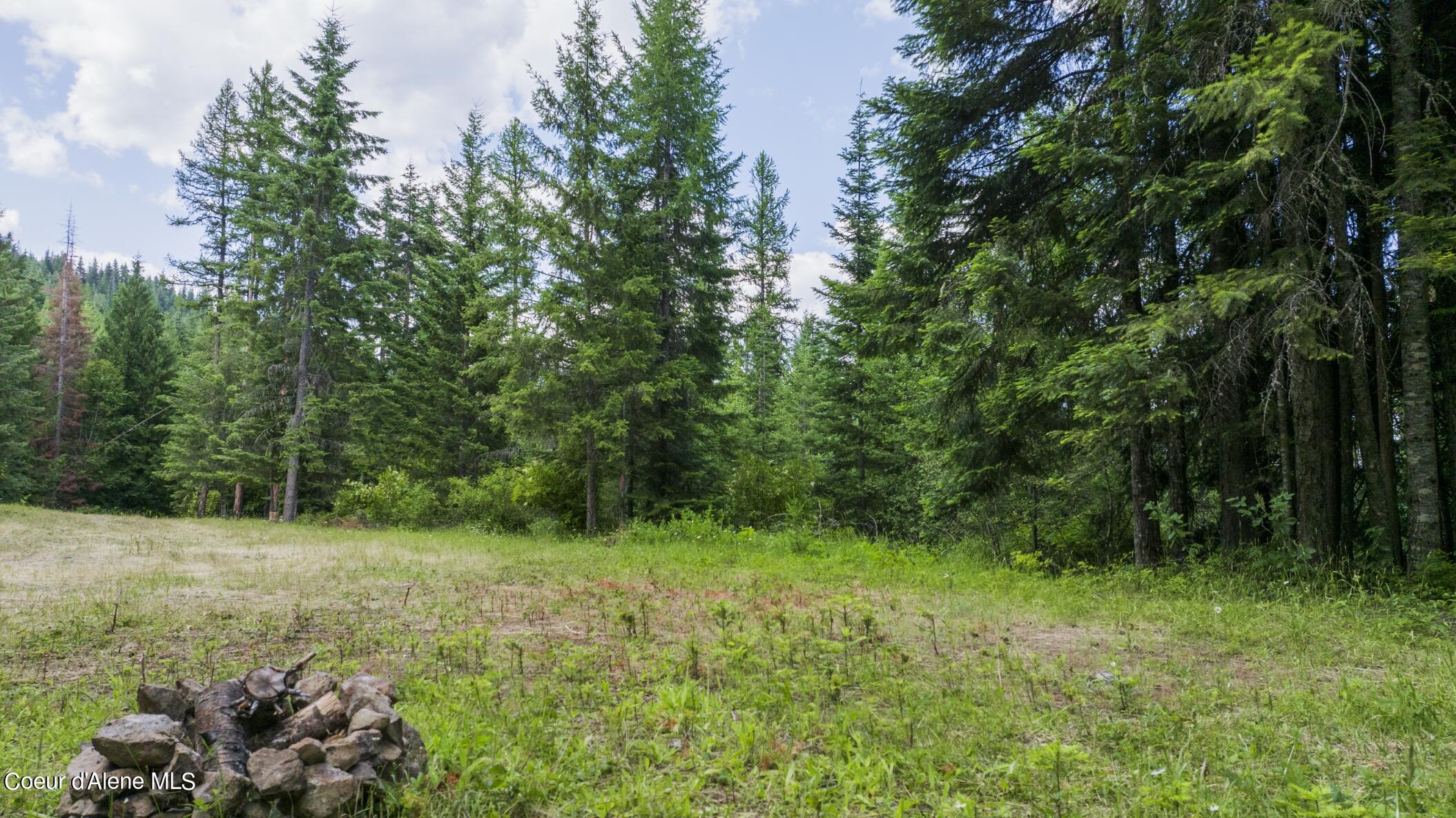 7362 South Dick's Creek Road Kendrick, ID 83537 - Photo 23 of 51 23