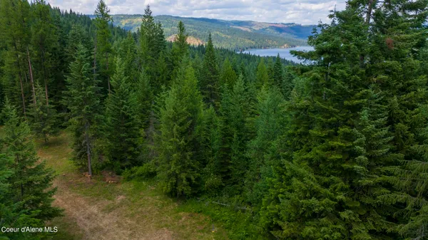 $289,900 | 7362 South Dick's Creek Road, Kendrick, ID 83537