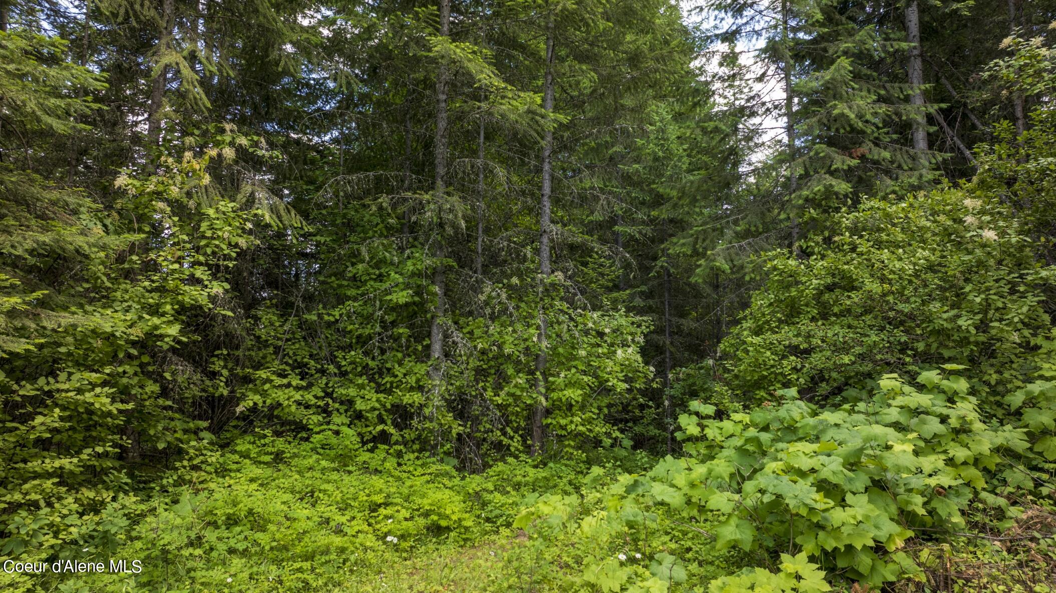 7362 South Dick's Creek Road Kendrick, ID 83537 - Photo 25 of 51 25