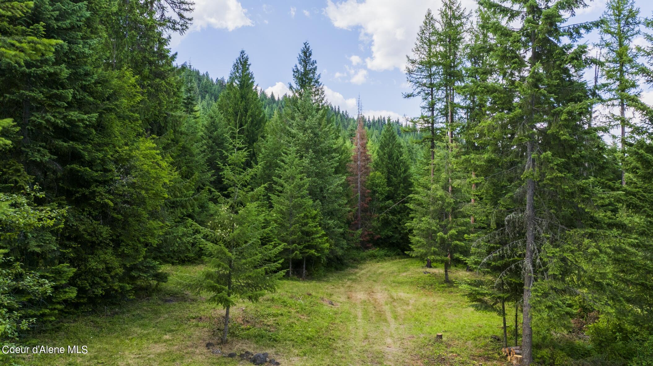 7362 South Dick's Creek Road Kendrick, ID 83537 - Photo 27 of 51 27