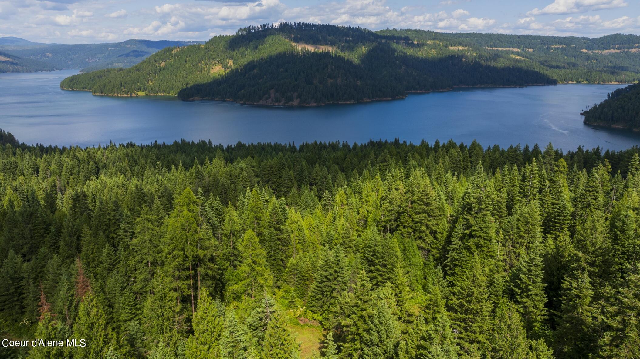 7362 South Dick's Creek Road Kendrick, ID 83537 - Photo 28 of 51 28