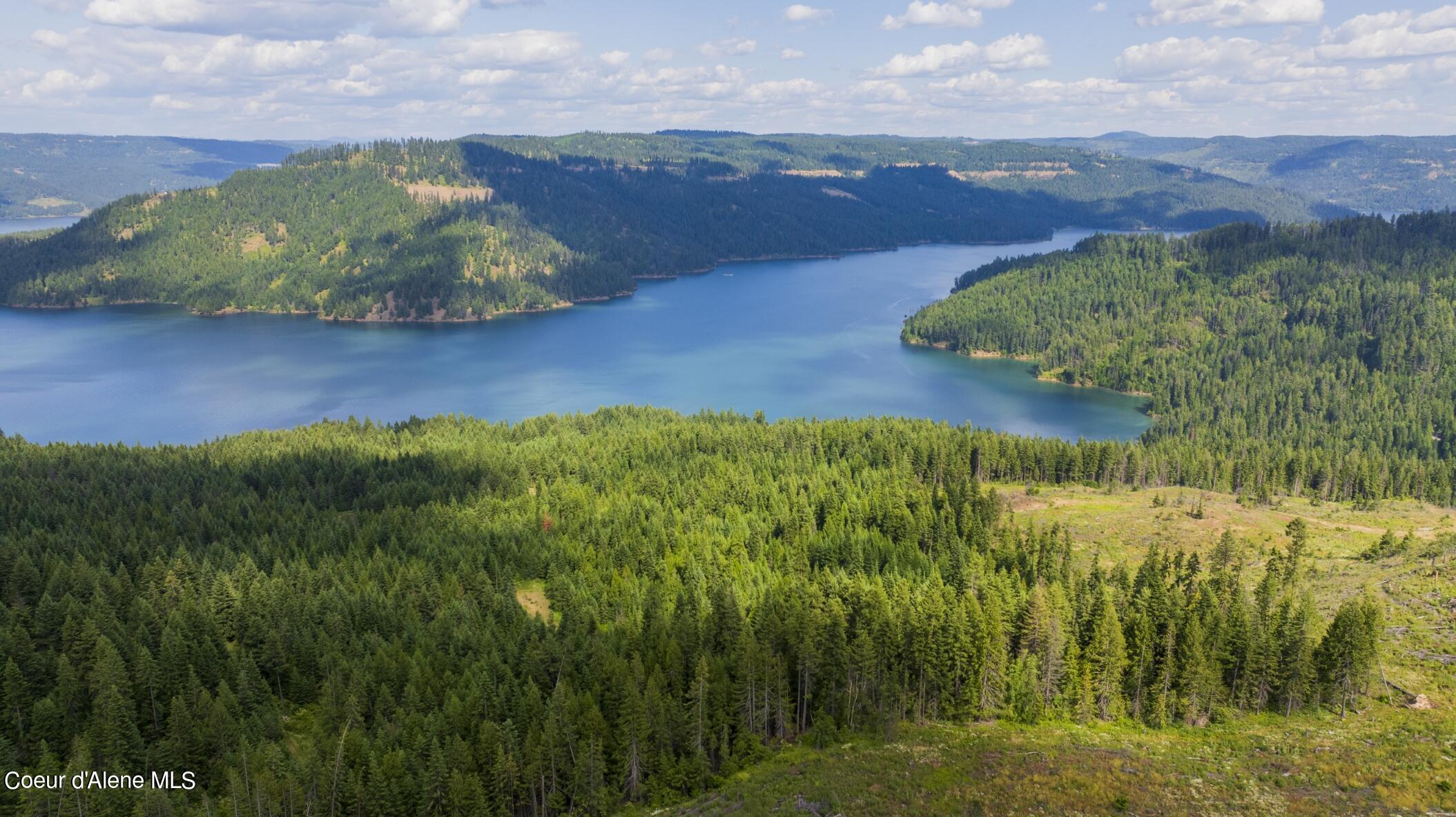 7362 South Dick's Creek Road Kendrick, ID 83537 - Photo 30 of 51 30