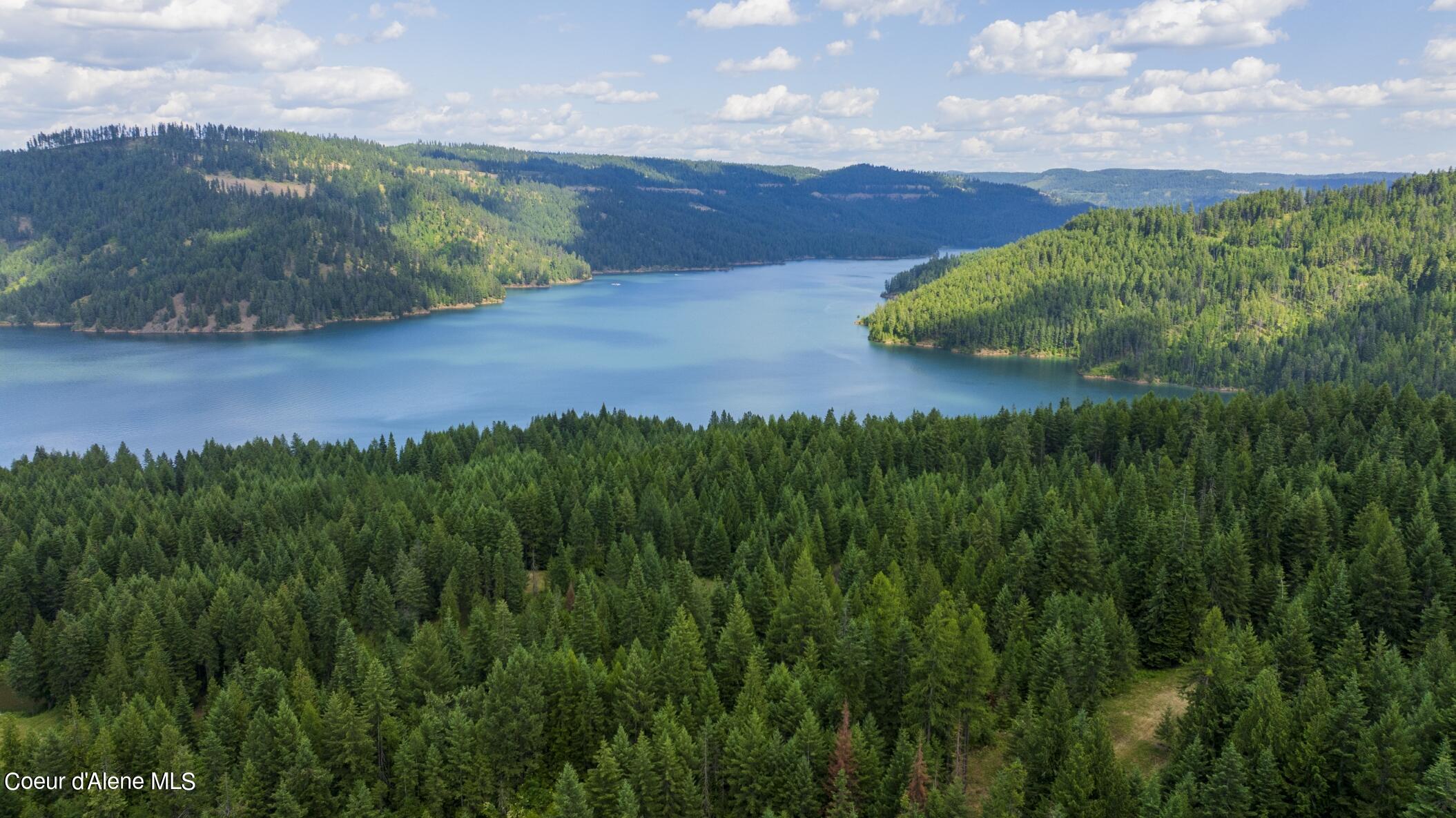 7362 South Dick's Creek Road Kendrick, ID 83537 - Photo 31 of 51 31