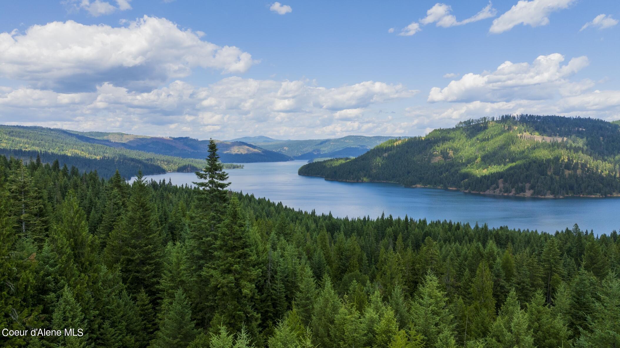 7362 South Dick's Creek Road Kendrick, ID 83537 - Photo 33 of 51 33