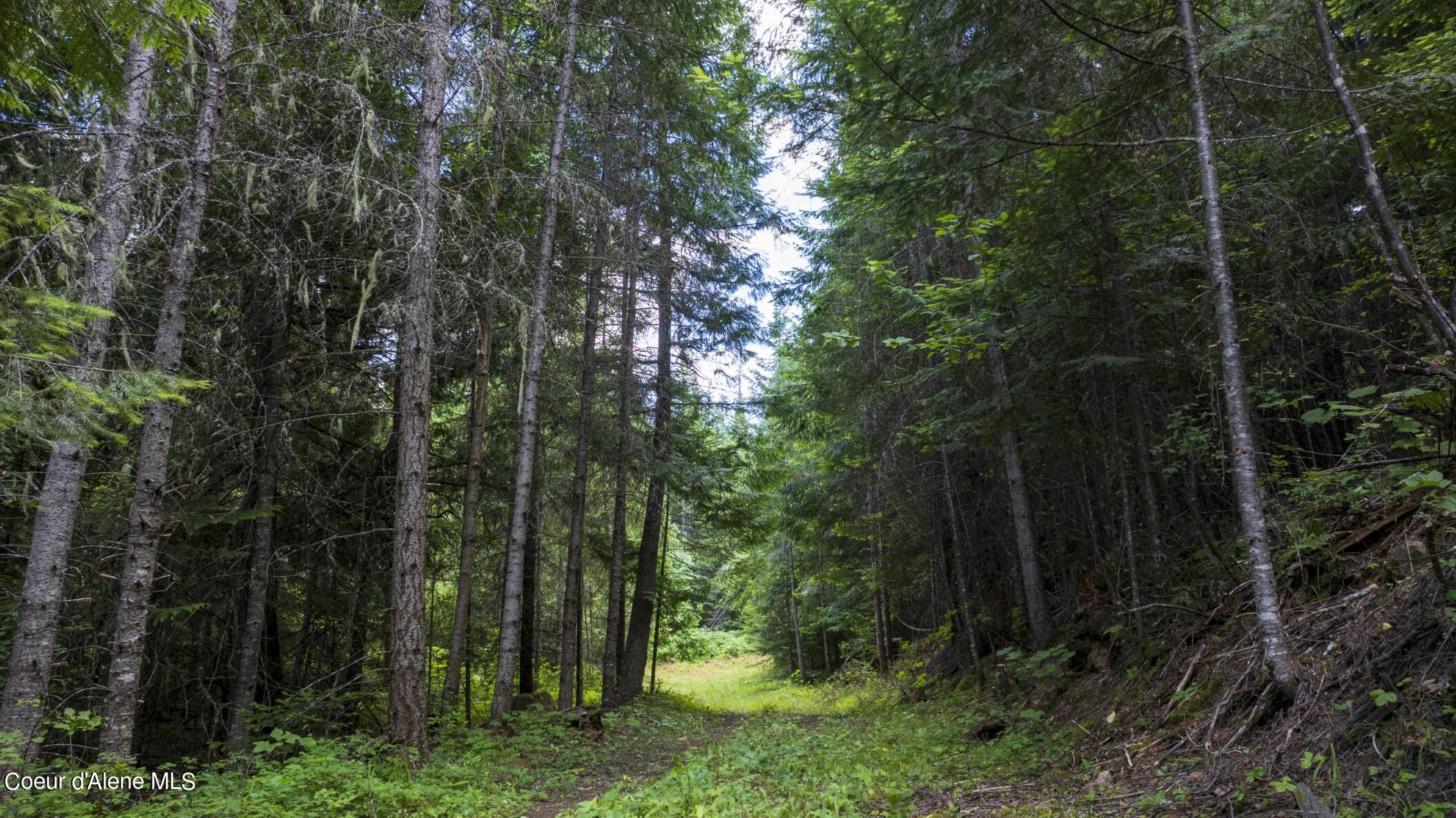 7362 South Dick's Creek Road Kendrick, ID 83537 - Photo 37 of 51 37