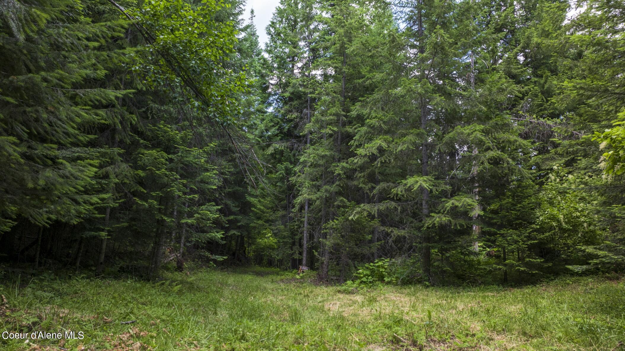 7362 South Dick's Creek Road Kendrick, ID 83537 - Photo 38 of 51 38