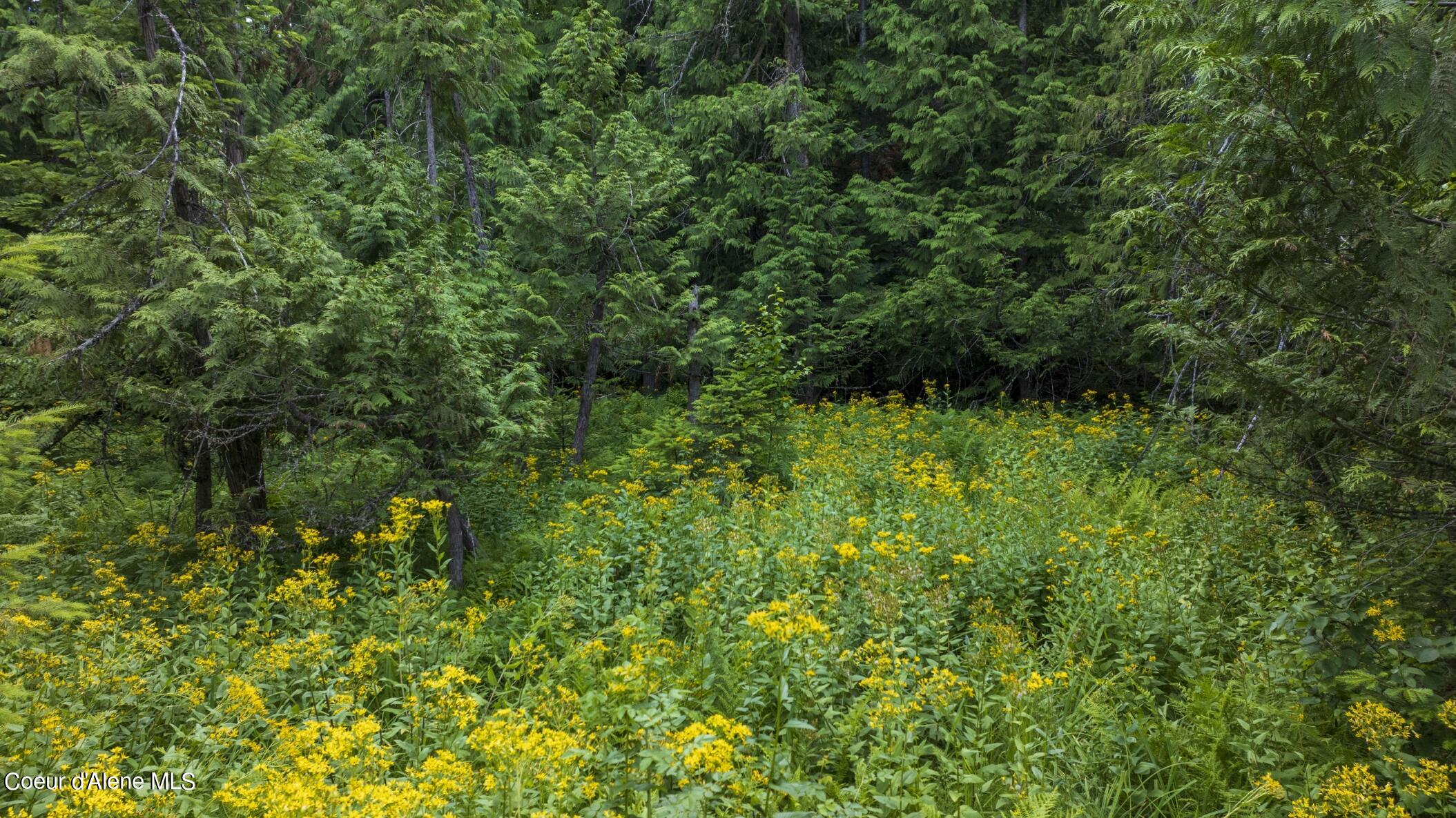 7362 South Dick's Creek Road Kendrick, ID 83537 - Photo 39 of 51 39