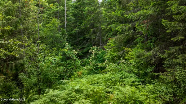 $289,900 | 7362 South Dick's Creek Road, Kendrick, ID 83537