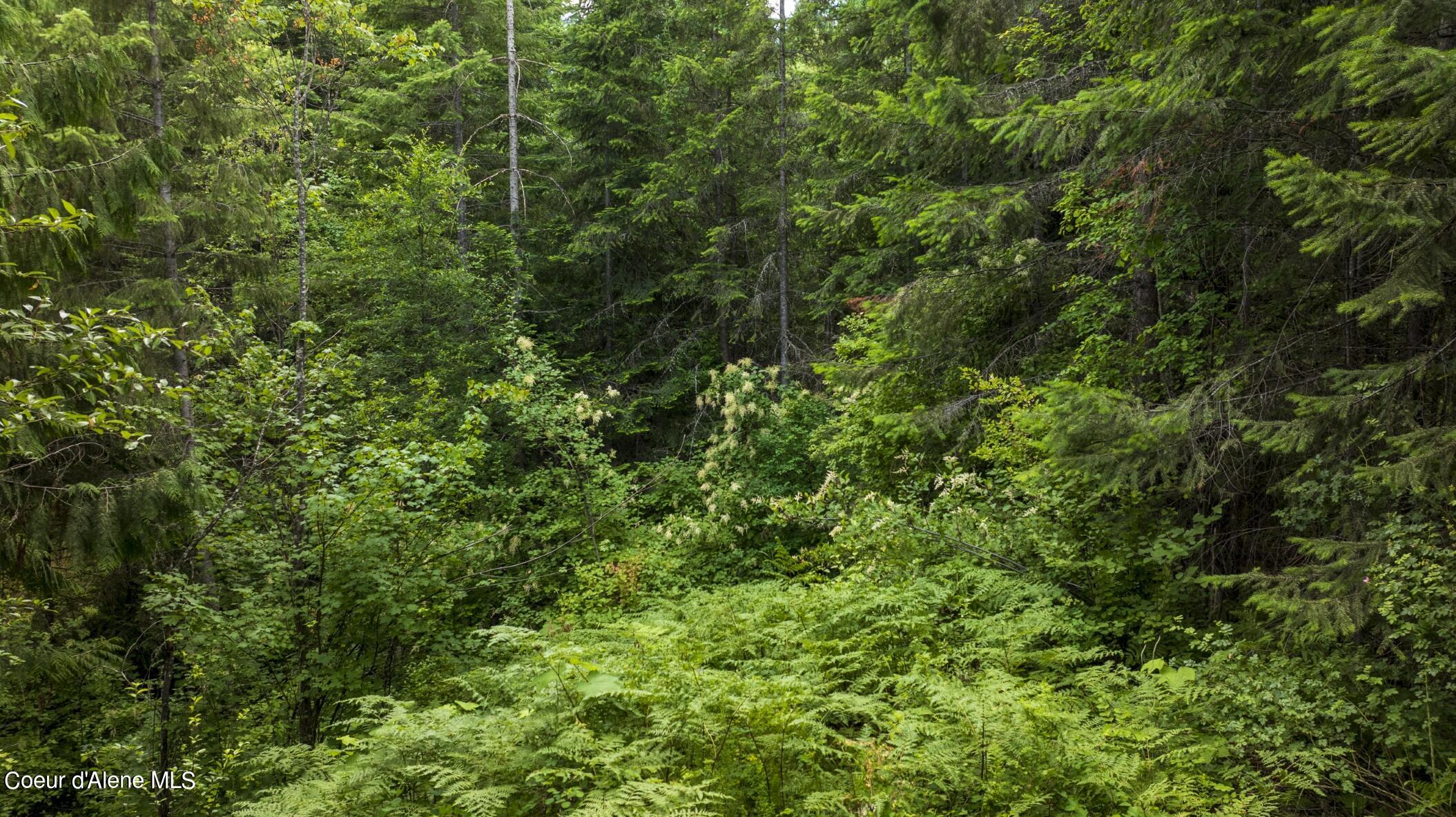 7362 South Dick's Creek Road Kendrick, ID 83537 - Photo 40 of 51 40