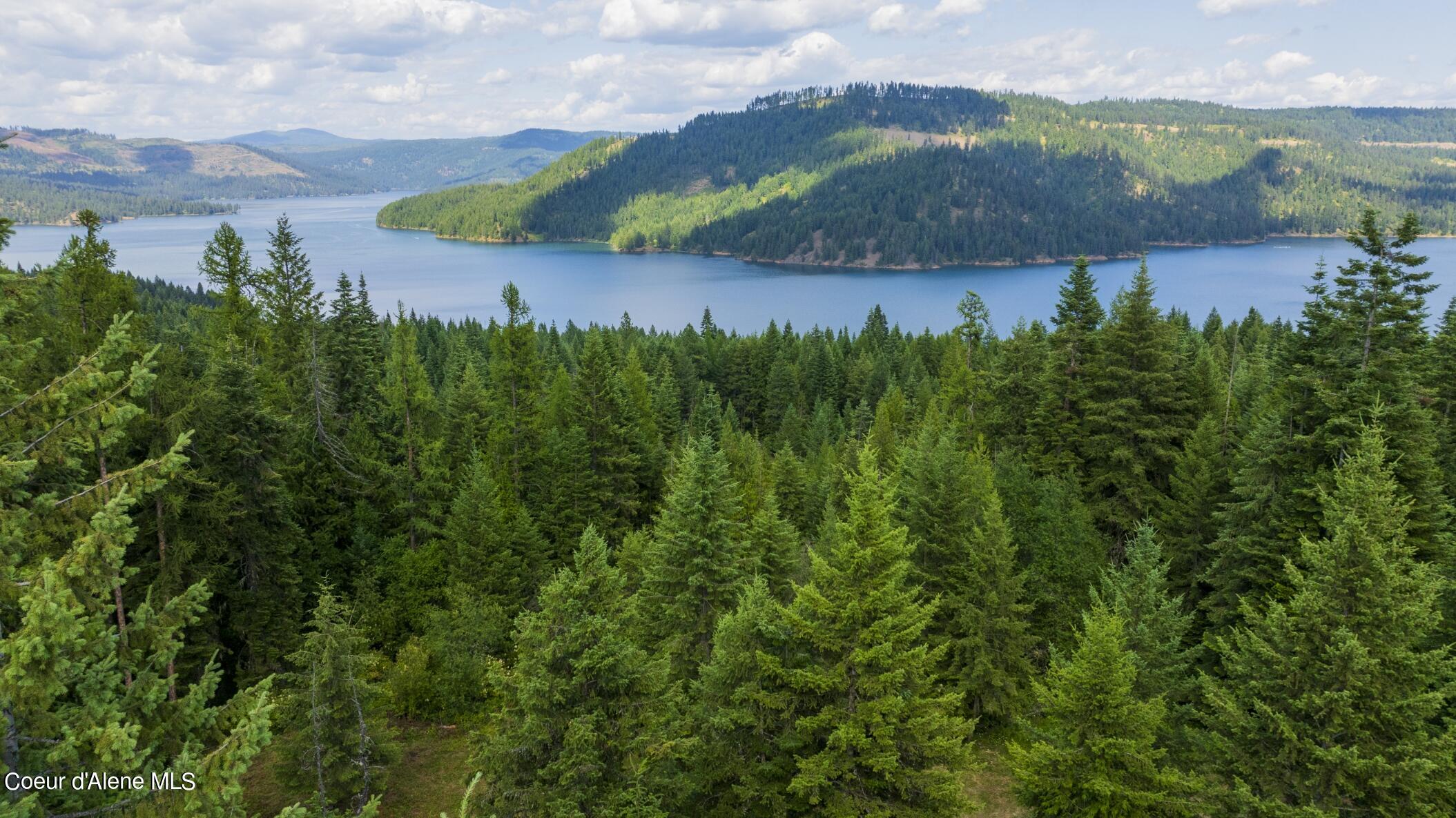 7362 South Dick's Creek Road Kendrick, ID 83537 - Photo 4 of 51 4