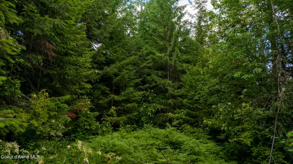 $289,900 | 7362 South Dick's Creek Road, Kendrick, ID 83537