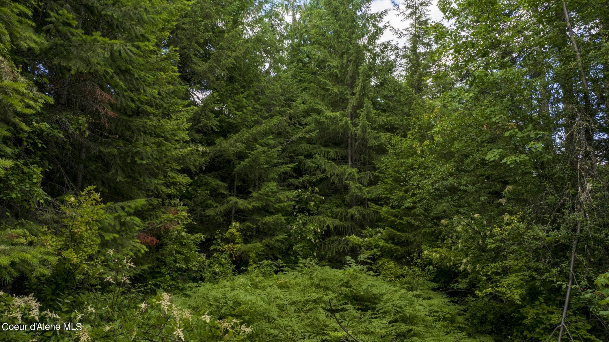 7362 South Dick's Creek Road Kendrick, ID 83537 - Photo 41 of 51 41