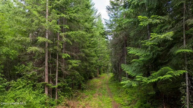 $289,900 | 7362 South Dick's Creek Road, Kendrick, ID 83537