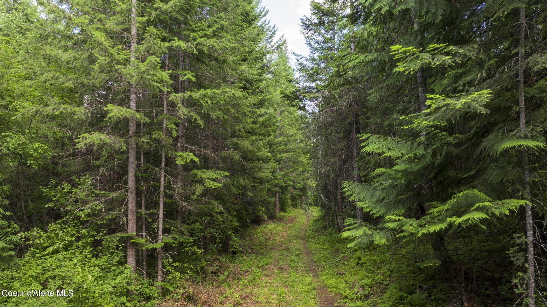 7362 South Dick's Creek Road Kendrick, ID 83537 - Photo 44 of 51 44