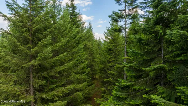 $289,900 | 7362 South Dick's Creek Road, Kendrick, ID 83537