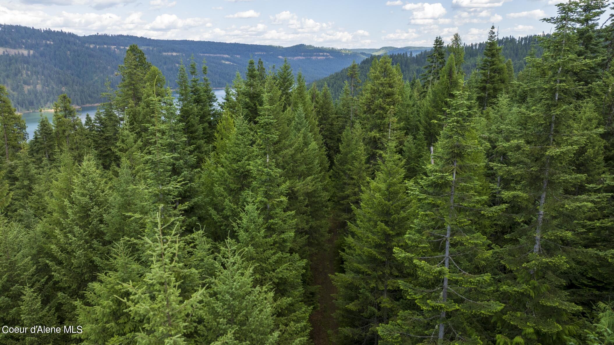 7362 South Dick's Creek Road Kendrick, ID 83537 - Photo 46 of 51 46