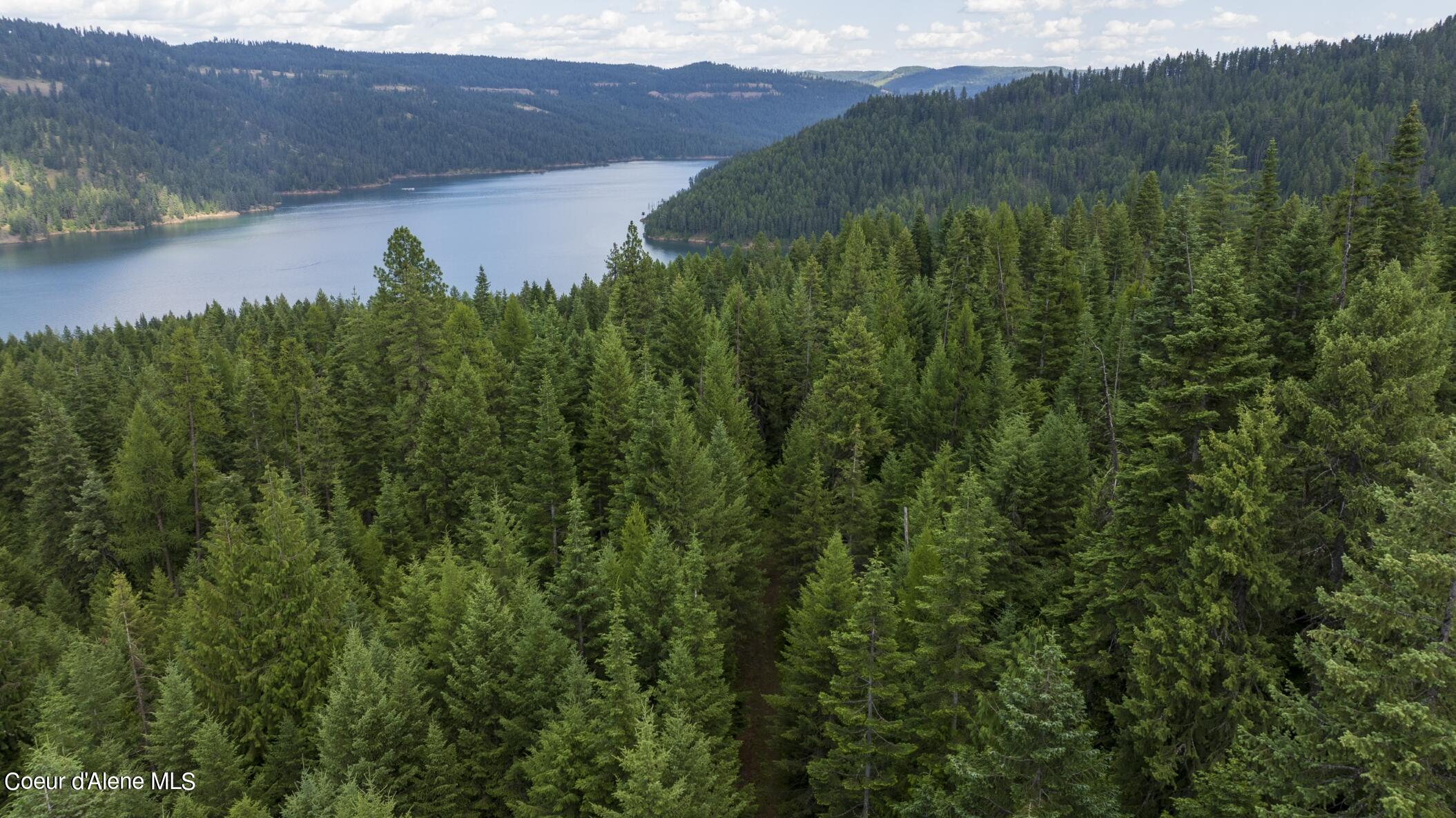 7362 South Dick's Creek Road Kendrick, ID 83537 - Photo 47 of 51 47