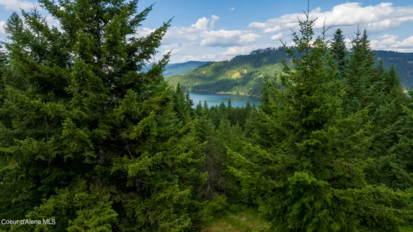 $289,900 | 7362 South Dick's Creek Road, Kendrick, ID 83537