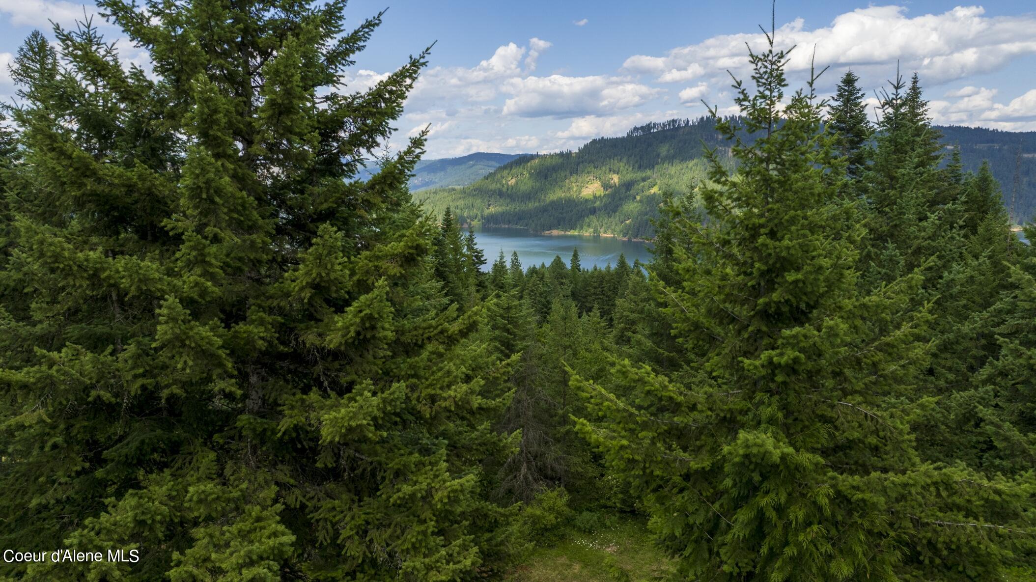 7362 South Dick's Creek Road Kendrick, ID 83537 - Photo 48 of 51 48