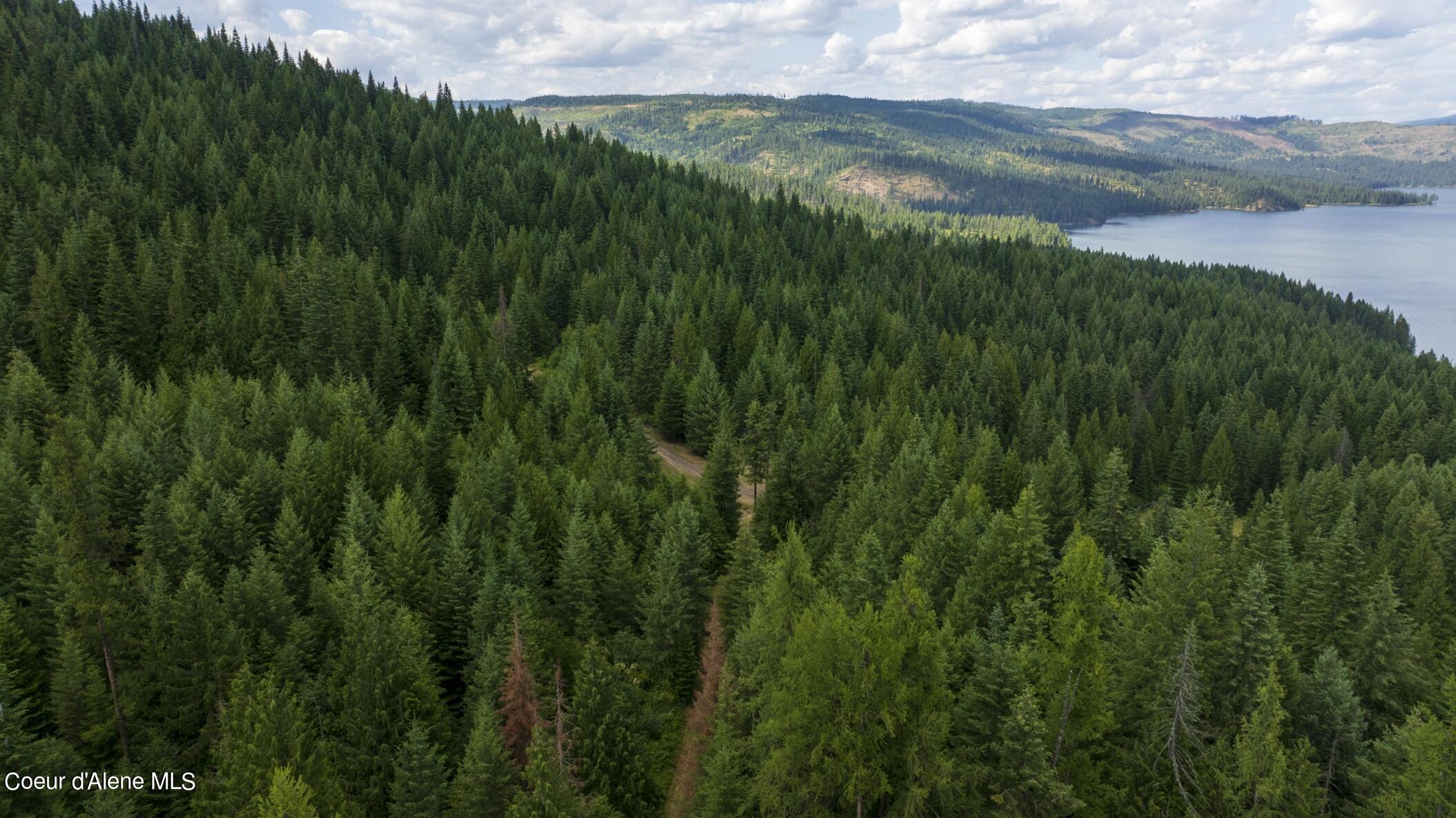 7362 South Dick's Creek Road Kendrick, ID 83537 - Photo 49 of 51 49