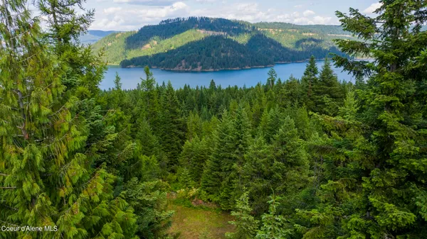 $289,900 | 7362 South Dick's Creek Road, Kendrick, ID 83537