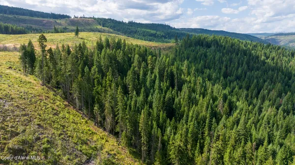 $289,900 | 7362 South Dick's Creek Road, Kendrick, ID 83537